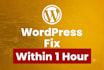 fix wordpress, html, php, css, jquery and database bugs