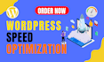 do website speed optimization by gtmetrix google pagespeed