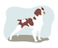 draw hand drawn pet illustration