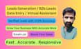 do lead generation, b2b leads, data entry, virtual assistant