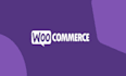fix bugs,errors and install woocommerce website