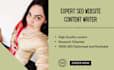 be your SEO website content writer, website copywriter