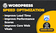 do wordpress speed optimization for your site