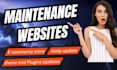 maintain keep your wordpress website updated and manage it with complete SEO