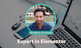 create wordpress  blog ecommerce website by elementor