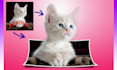 make your photo into 3d pop out photo