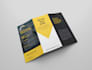 do creative single, bifold, trifold brochure design
