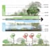 do illustrative section elevation for architectural and landscape visualization