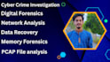 do digital forensics, cyber crime investigation and data recovery