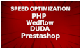 increase your webflow prestashop duda speed according to google pagespeed