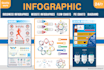 design a premium infographics for your business in 12 hours