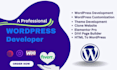 do professional wordpress website development and customization