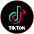 make ads with tiktok ugc