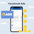 setup and manage  fb and ig ad campaigns