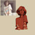 do a custom illutration for you