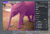do image annotation, labeling, dataset collection for computer vision, ml
