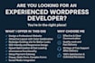 develop, redesign, ecommerce and custom business wordpress website