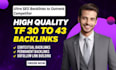 make high tf 30 plus homepage SEO backlinks