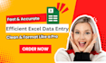 offer efficient excel data entry, cleaning, and formatting