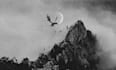 create dark art surrealistic background