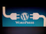 fix any technical issue of wordpress website
