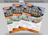 design professional real estate flyer and banner