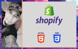 build your dropshipping shopify store