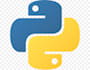 program you any python script