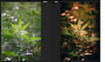do bulk photo editing in lightroom