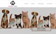 design shopify pet store and shopify pet website