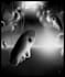 release trapped emotions using body code and emotion code