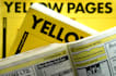 provide you business leads,contact and emails for marketing
