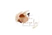 create modern boho,  abstract logo design