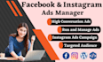 be your facebook and instagram ads campaign manager