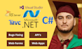 build asp dot net mvc web application