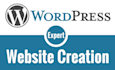 create pro wordpress website