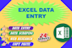 do excel data entry data collection copy past data typing