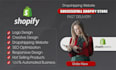 create a professional shopify dropshipping or affiliate store