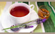 teach you on tea