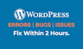 fix wordpress errors, wordpress bugs and issues