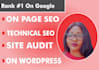 do a unique onpage SEO service on wp websites using yoast