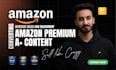 design premium a plus content or basic a plus content for your amazon product