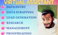 be your administrative VA, data entry, lead generation