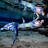 make a personalized underwater video as a mermaid