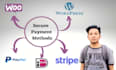 integrate paypal, ideal, bancontact, and sofort using stripe wordpress