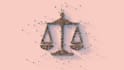 provide law school application advice