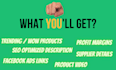 find shopify dropshipping winning products