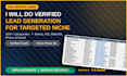 build  a verified lead generation for targeted niche