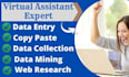 do fast data entry virtual assistant and copy paste