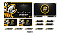 design a unique animated twitch or kick overlays stream package